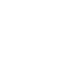 Marketing Icon 3